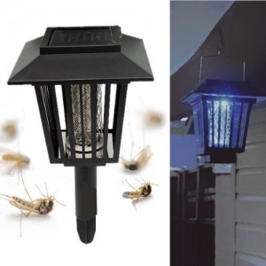 Solar Bug Lantern