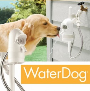 Contech-Water-Dog-Pet-Fountain-Main