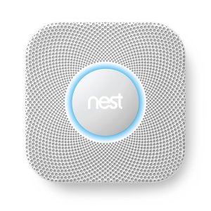 Nest 1