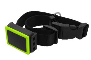 CES2015 Weenect Pet GPS tracker GPS collar 1