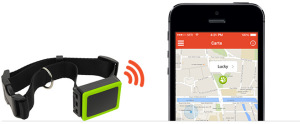 CES2015 Weenect Pet GPS tracker GPS collar 2