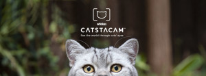 Whiskas CatsTaCAM 1