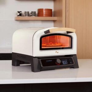 Model p smart pizza oven 1