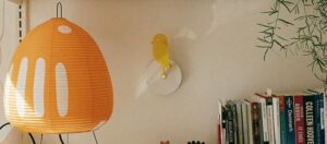 Birdie Pro