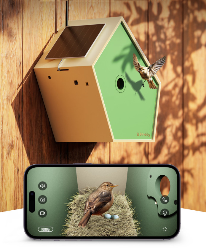 A Birddy’s Eye View: A High-Tech Birdhouse Story - New Gizmo